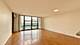 3001 S Michigan Unit 1303, Chicago, IL 60616