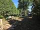 3836 Hull, Skokie, IL 60076
