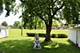 16421 Evans, South Holland, IL 60473