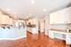 781 Richwood, Elgin, IL 60124
