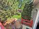 714 Walnut, Marengo, IL 60152