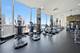 535 N Michigan Unit 1009, Chicago, IL 60611