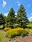 19132 Boulder Ridge, Mokena, IL 60448