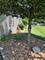 304 Thames, Shorewood, IL 60404