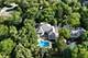 1220 Lake, Libertyville, IL 60048