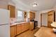 1619 N Normandy, Chicago, IL 60707
