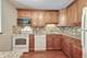 829 S Dwyer Unit E, Arlington Heights, IL 60005