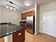 767 W 15th Unit 308, Chicago, IL 60607