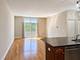 767 W 15th Unit 308, Chicago, IL 60607