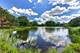 26208 W Milestone, Plainfield, IL 60585