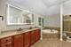 26208 W Milestone, Plainfield, IL 60585