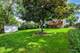 682 Shining Water, Carol Stream, IL 60188