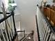 2062 Peach Tree, Algonquin, IL 60102