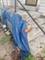 1604 S 21st, Maywood, IL 60153