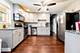 17 N Pine, Chicago, IL 60644
