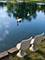 21606 N Stoneybrook, Kildeer, IL 60047