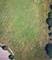 24822 W Wildberry, Shorewood, IL 60404