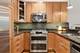 1335 W Altgeld Unit 2A, Chicago, IL 60614