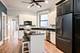 734 W Briar Unit 1, Chicago, IL 60657