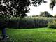 2020 Carlisle, Algonquin, IL 60102