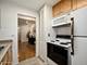 420 W Aldine Unit 225, Chicago, IL 60657