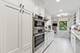 1503 Oak Unit 311, Evanston, IL 60201