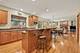 176 Amherst, Oswego, IL 60543
