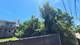 7048 S Perry, Chicago, IL 60621