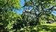 7048 S Perry, Chicago, IL 60621