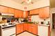 3821 N Damen Unit 2, Chicago, IL 60618