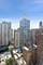 1325 N State Unit 17C, Chicago, IL 60610