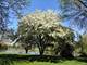 33925 N Fischer, Ingleside, IL 60041