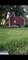33925 N Fischer, Ingleside, IL 60041