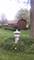 33925 N Fischer, Ingleside, IL 60041