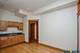 1542 S Drake, Chicago, IL 60623