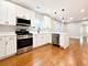 1747 N Luna, Chicago, IL 60639