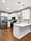 1747 N Luna, Chicago, IL 60639