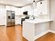 1747 N Luna, Chicago, IL 60639