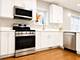 1747 N Luna, Chicago, IL 60639