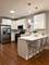 1747 N Luna, Chicago, IL 60639