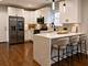 1747 N Luna, Chicago, IL 60639