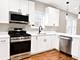 1747 N Luna, Chicago, IL 60639