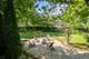 711 Quassey, Lake Bluff, IL 60044