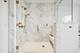 9 W Walton Unit 2202, Chicago, IL 60610