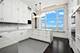 132 E Delaware Unit 6206, Chicago, IL 60611