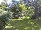 1805 Gilbert, Downers Grove, IL 60515