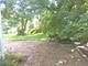 1805 Gilbert, Downers Grove, IL 60515