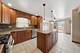 8350 S Karlov, Chicago, IL 60652