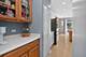 722 Metropolitan, Bolingbrook, IL 60490