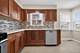 3230 N Neva, Chicago, IL 60634